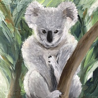 Koala - Present to Marko Bulatovic